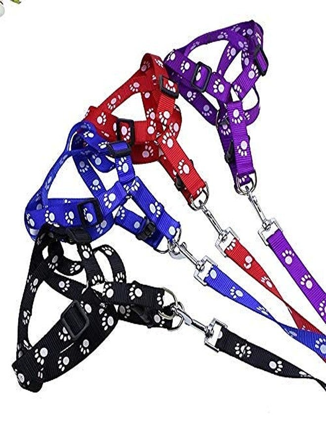 Pups&Pets Pet Combo Puppy Paw Print Harness Leash Set for Small Dog and Puppies (Blue) - Image 5